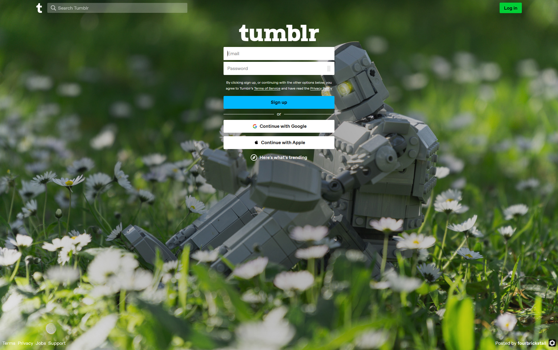 Tumblr Login