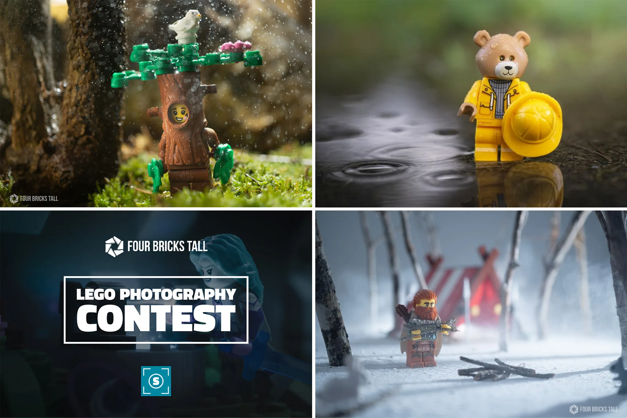capemadness contest jpg