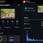views instagram vs reddit