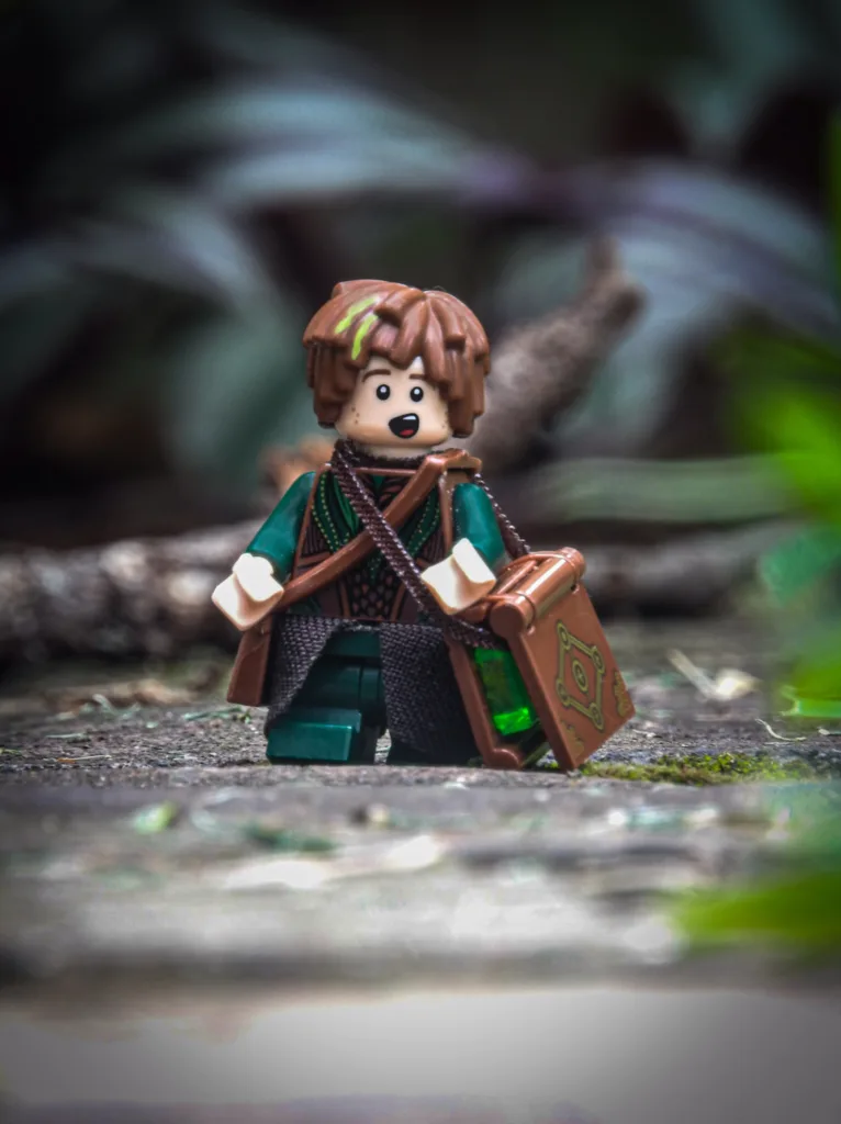 druid school